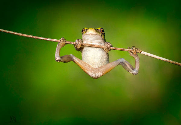 Photograph Marianna Armata Hang In There on One Eyeland